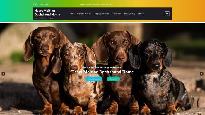 Heartmeltingdaschundhome.com - Dachshund Puppy Scam Review