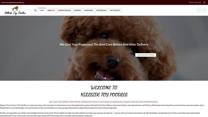 Hillsidetoypoodles.com - Poodle Puppy Scam Review