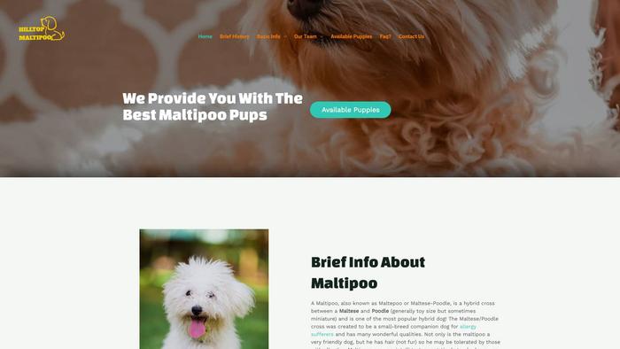 Hilltopmaltipoo.com - Maltipoo Puppy Scam Review