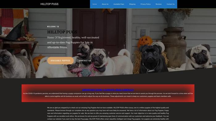 Hilltoppugs.com - Pug Puppy Scam Review