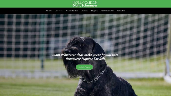 Hollyqueengiantschnauzer.com - Schnauzer Puppy Scam Review