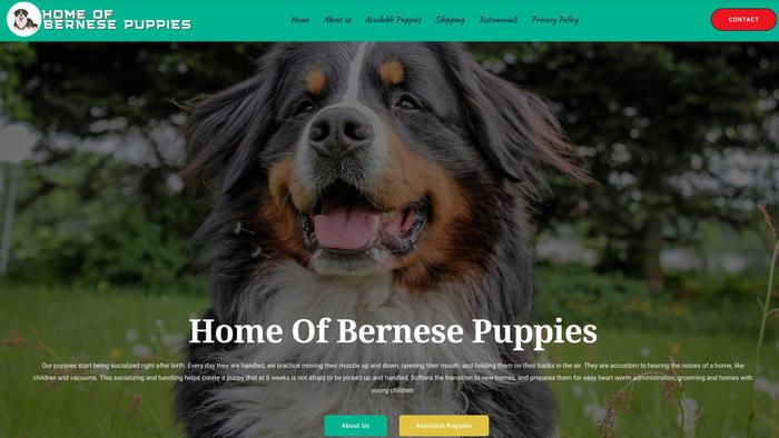 Homeofbernesepuppies.com - Bernese Mountain Dog Puppy Scam Review