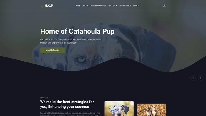 Homeofcatahoulapups.com - Labrador Puppy Scam Review