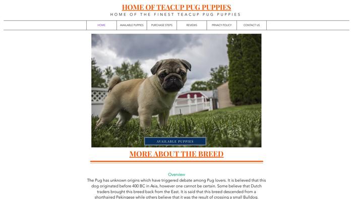 Homeofteacuppugs.com - Pug Puppy Scam Review