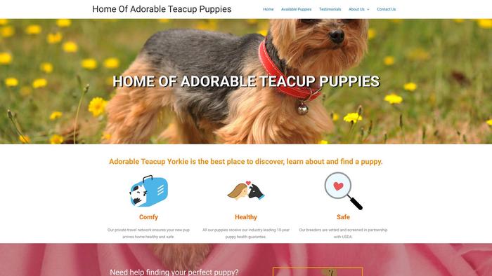 Homeofteacups.us - Yorkshire Terrier Puppy Scam Review