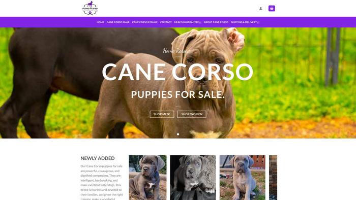 Homeraisedcanecorsopuppiesforsale.com - Cane Corso Puppy Scam Review