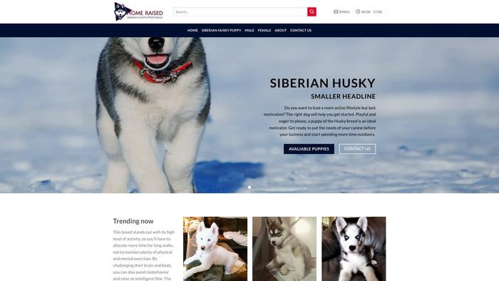 Homeraisedsiberianhuskypuppiesforsale.com - Husky Puppy Scam Review