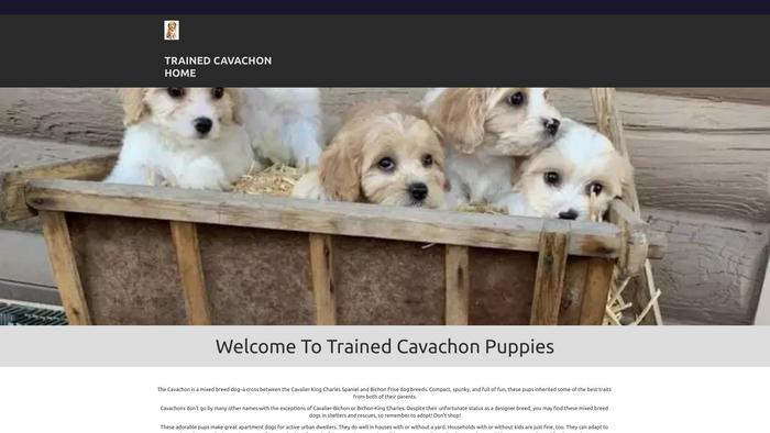 Hometrainedcavachon.com - Cavachon Puppy Scam Review