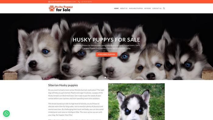 Huskypuppysforsale.com - Husky Puppy Scam Review