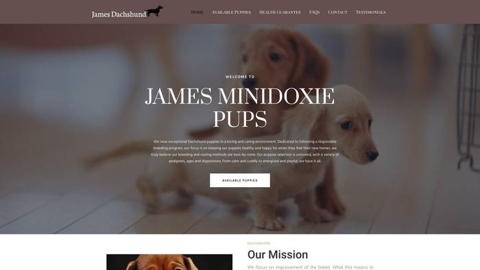 Jamesminidoxiepups.com - Dachshund Puppy Scam Review