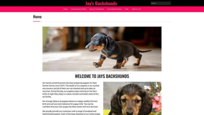 Jaysdachshunds.com - Dachshund Puppy Scam Review