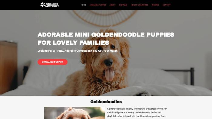 Jjminigoldendoodlepuppies.com - Golden Doodle Puppy Scam Review