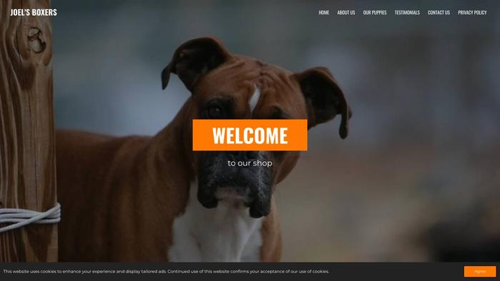 Joelsboxerpuppies.com - Boxer Puppy Scam Review