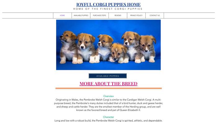 Joyfulcorgipupshome.com - Corgi Puppy Scam Review