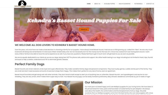 Kehndrabassethoundhome.com - Bassethound Puppy Scam Review