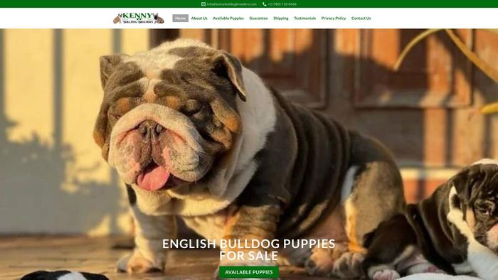 Kennybulldogbreeders.com - Bulldog Puppy Scam Review