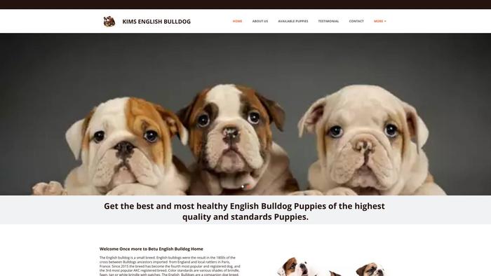 Kimsenglishbulldogpups.com - English Bulldog Puppy Scam Review