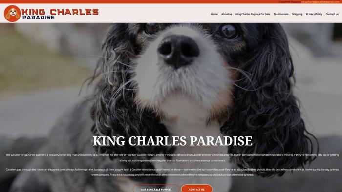 Kingcharlesparadise.com - Cavalier King Charles Spaniel Puppy Scam Review