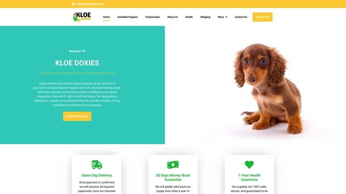 Kloedoxies.com - Dachshund Puppy Scam Review