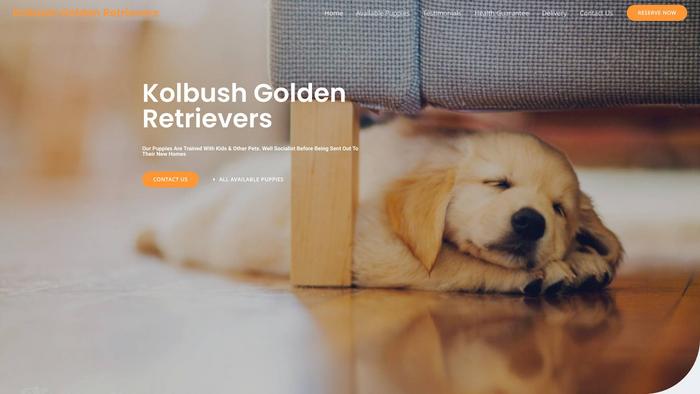 Kolbushgoldenretrievers.com - Golden Retriever Puppy Scam Review