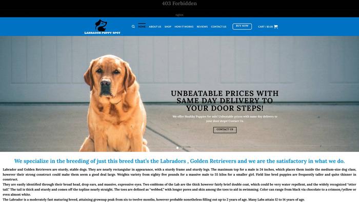 Labradorpuppyspot.com - Labrador Puppy Scam Review