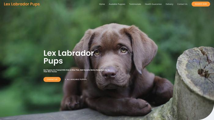 Lexlabradorpups.com - Labrador Puppy Scam Review