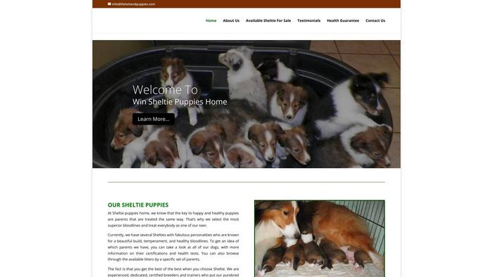 Lilshetlandpuppies.com - Sheltie Puppy Scam Review