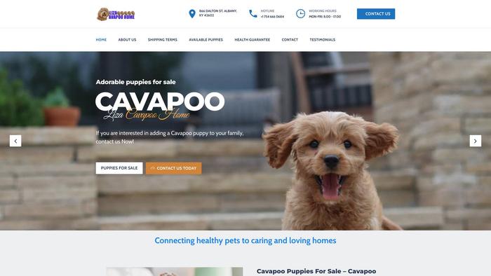 Lizacavapoohome.com - Cavapoo Puppy Scam Review