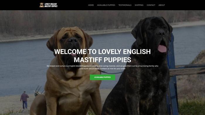 Lovelyenglishmastiffpuppies.com - Tibetan Mastiff Puppy Scam Review