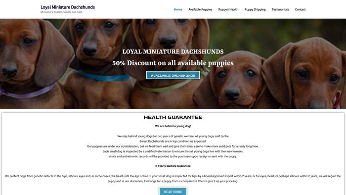 Loyalminiaturedacshunds.com - Dachshund Puppy Scam Review