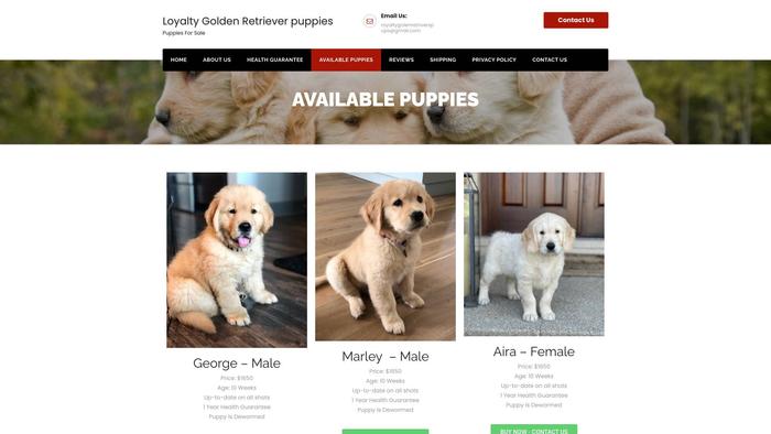 Loyaltygoldenretrieverpuppies.com - Golden Retriever Puppy Scam Review