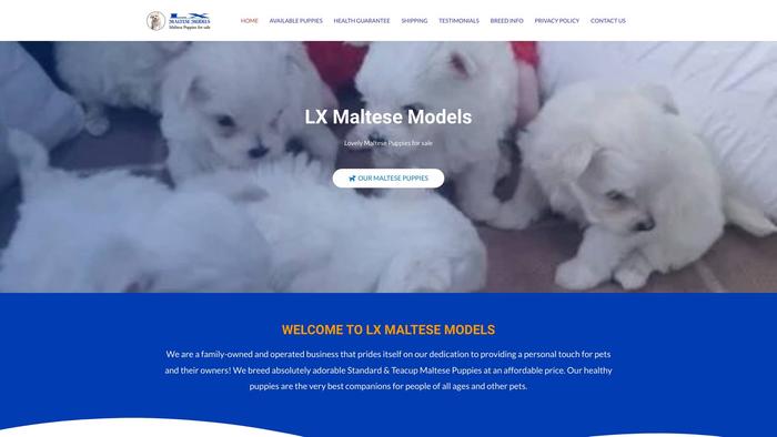 Lxmaltesemodels.com - Maltese Puppy Scam Review