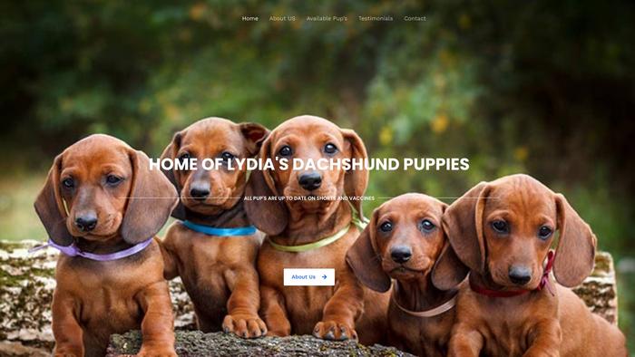 Lydiadachshundpuppieshome.com - Dachshund Puppy Scam Review