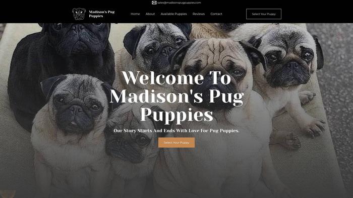 Madisonspugpuppies.com - Pug Puppy Scam Review