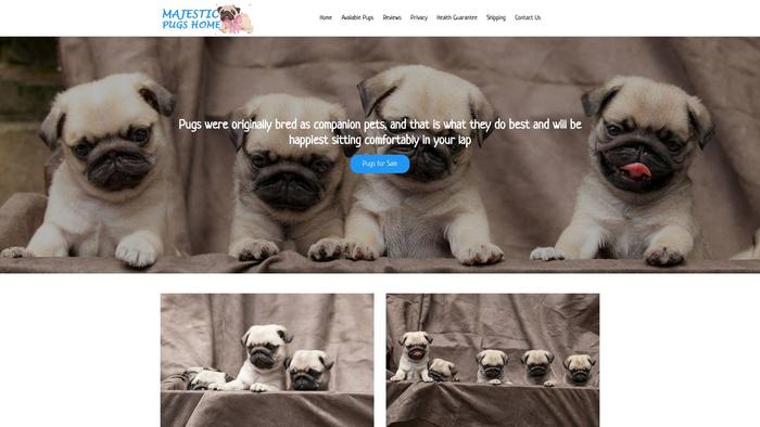 Majesticpugshome.com - Pug Puppy Scam Review