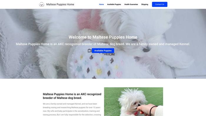 Maltespuppieshome.com - Maltese Puppy Scam Review