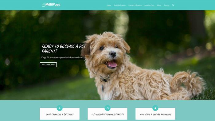 Maltipups.com - Maltese Puppy Scam Review