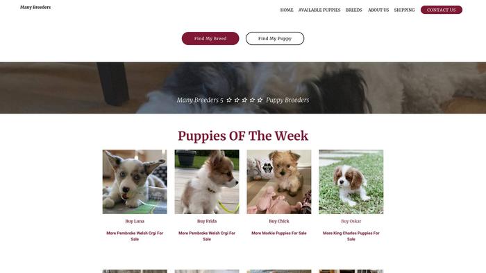 Manybreeders.com - Australian Shepherd Puppy Scam Review