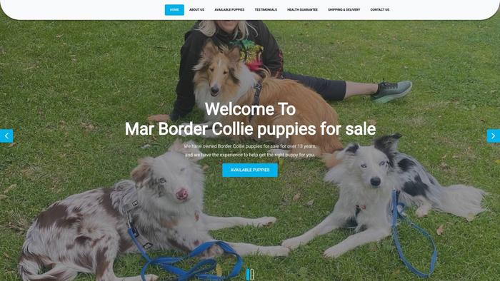 Marbordercollies.com - Bordercollie Puppy Scam Review