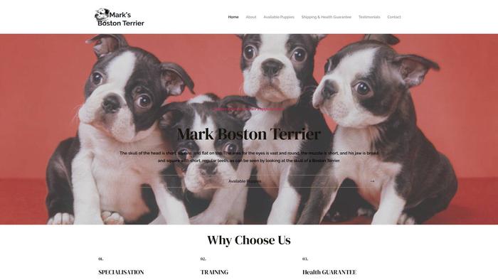 Markbostonterrier.com - Boston Terrier Puppy Scam Review