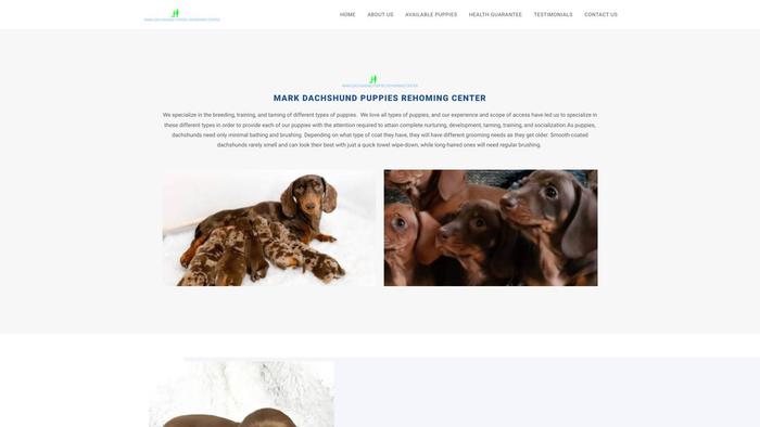 Markdachshundpuppiesrehomingcenter.com - Dachshund Puppy Scam Review