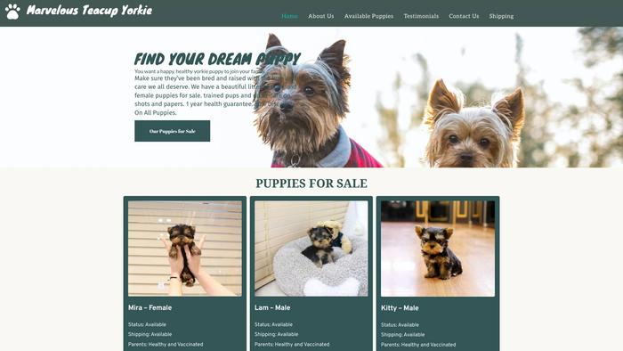 Marvelousteacupyorkie.com - Yorkshire Terrier Puppy Scam Review