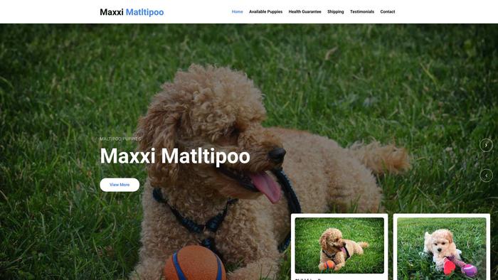 Maxximaltipoo.com - Maltipoo Puppy Scam Review