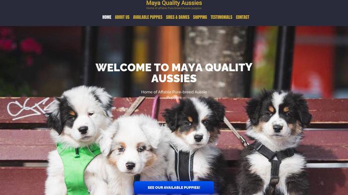 Mayaqualityaussies.com - Australian Shepherd Puppy Scam Review