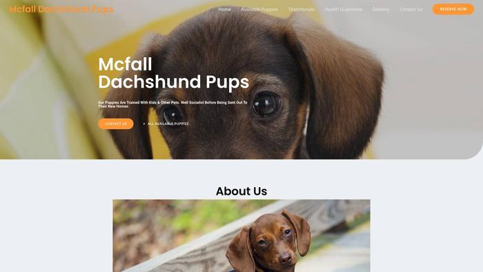 Mcfalldachshunpups.com - Dachshund Puppy Scam Review