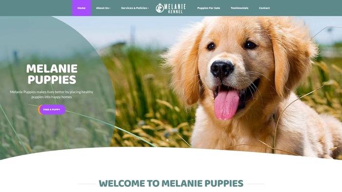 Melaniekennel.com - Schnauzer Puppy Scam Review