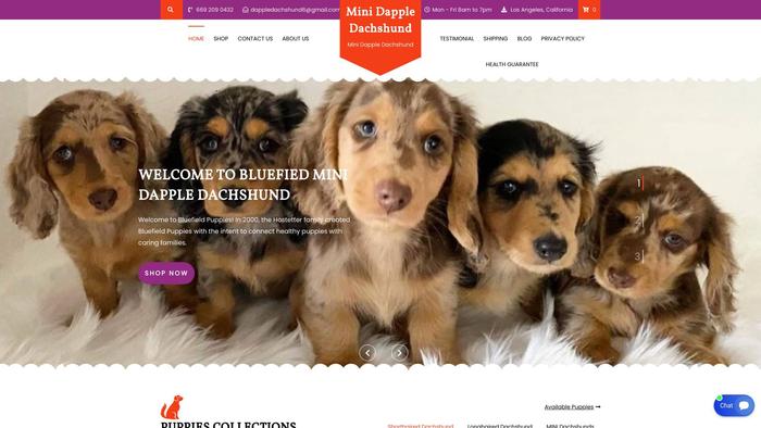 Minidappledachshund.com - Dachshund Puppy Scam Review