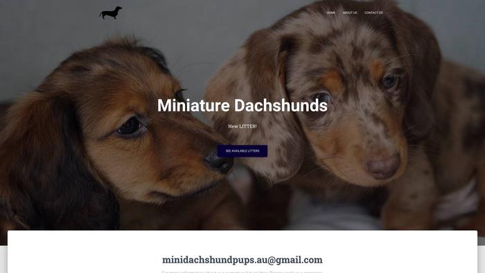 Minidashundpuppies.com - Dachshund Puppy Scam Review