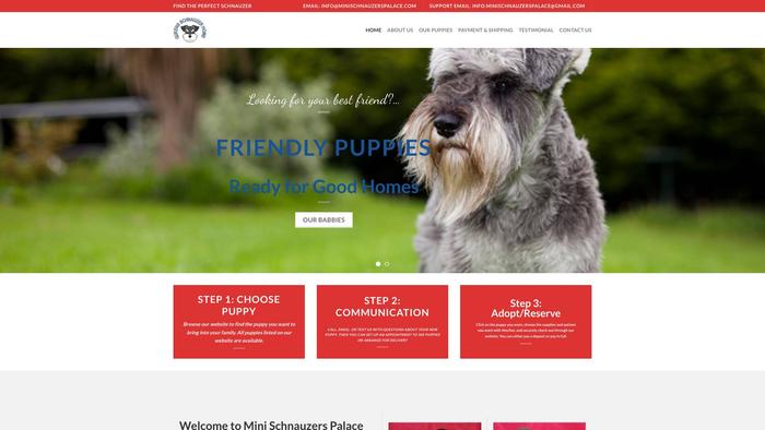 Minischnauzerspalace.com - Schnauzer Puppy Scam Review