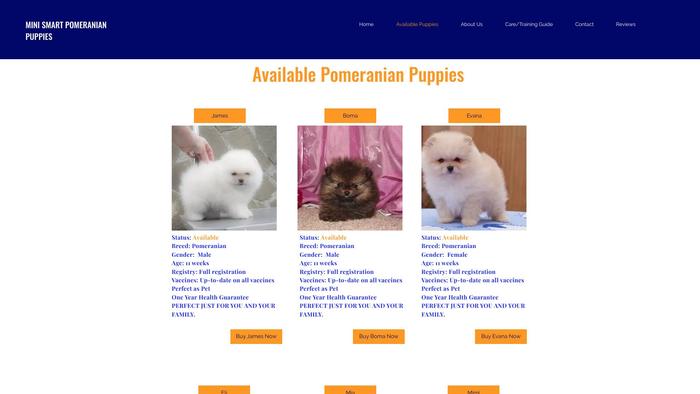 Minismartpomeranianpuppies.com - Pomeranian Puppy Scam Review